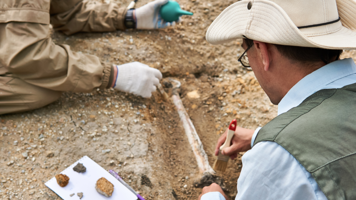 Torino capitale mondiale della bioarcheologia: arriva ISBA11 con 550 esperti da 40 Paesi