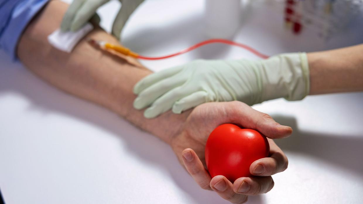Avis Roero: due giornate di raccolta sangue a Canale e Priocca ad agosto