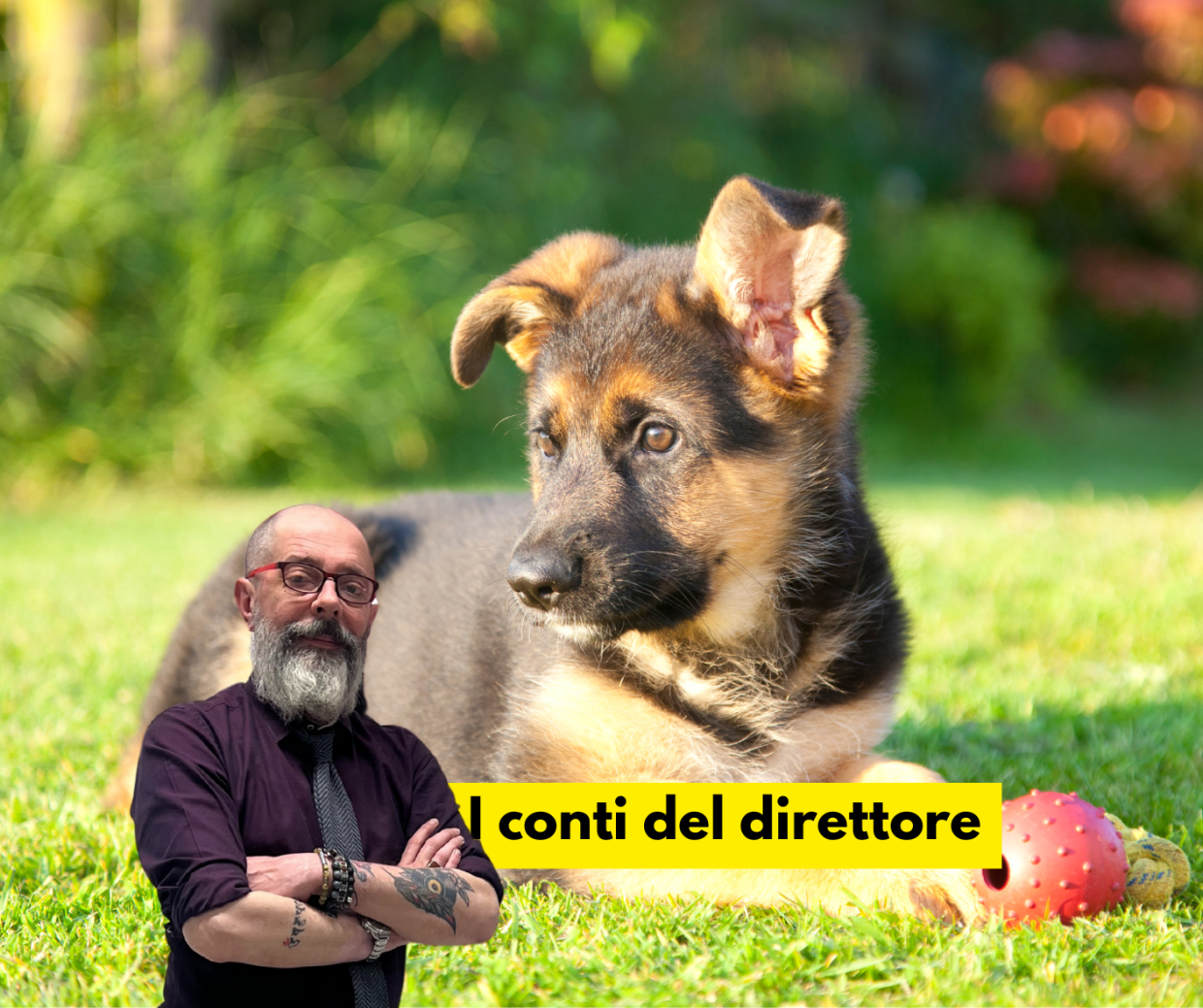 Storia di Patata (e del business milionario delle "staffette")