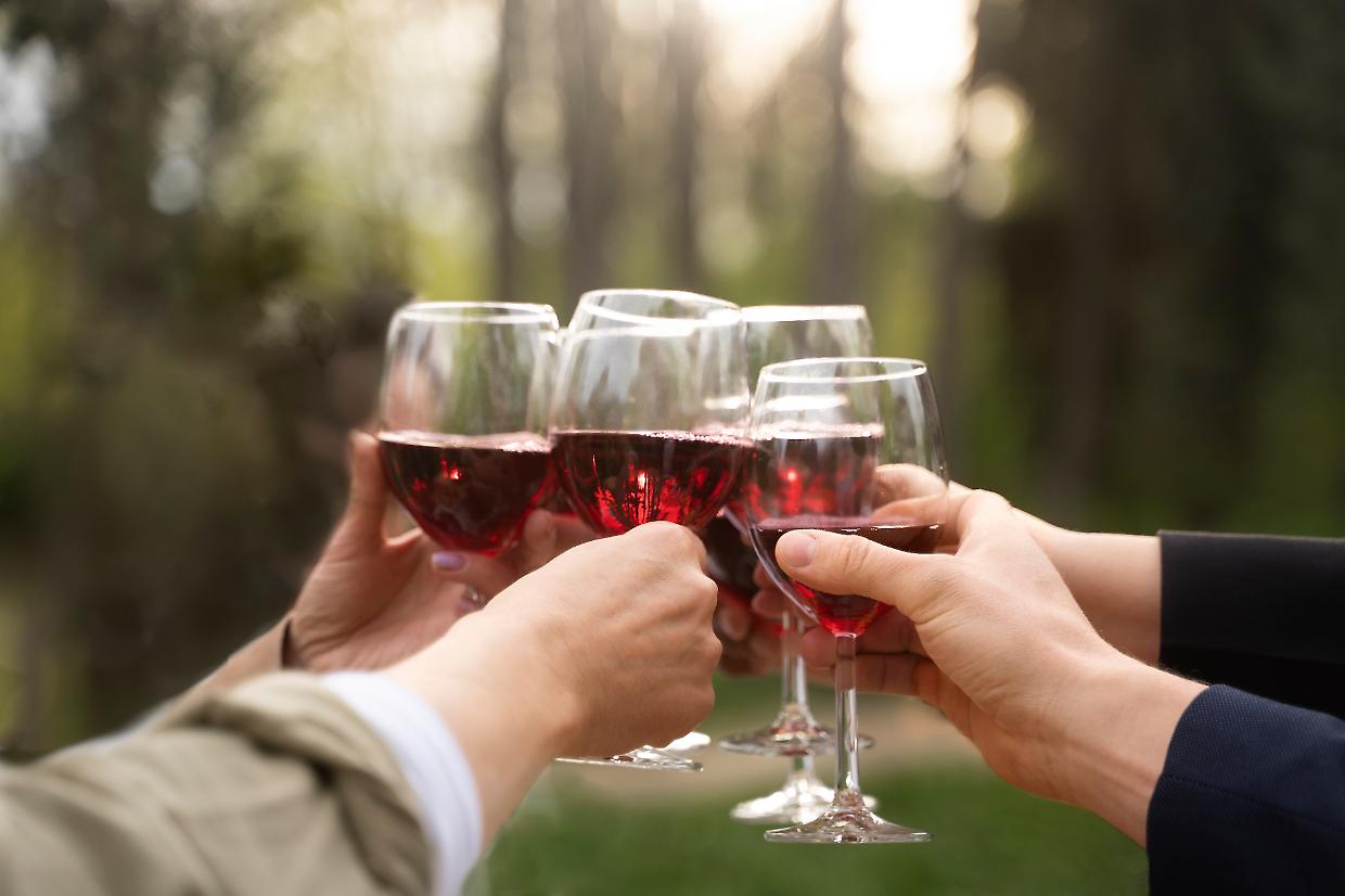 vino crisi 