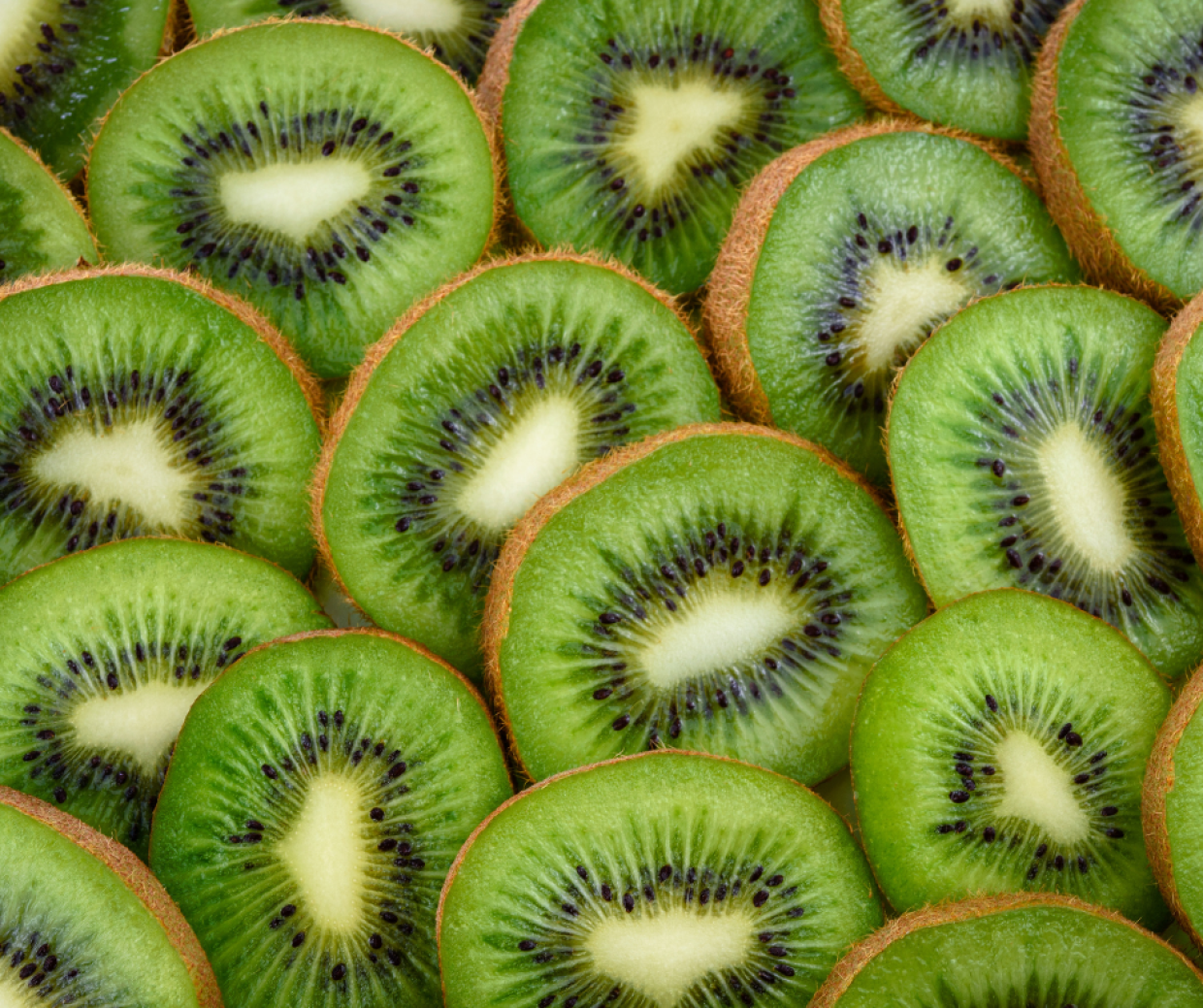 Piemonte, allarme Coldiretti: il caldo anomalo mette in crisi i kiwi, impianti al collasso