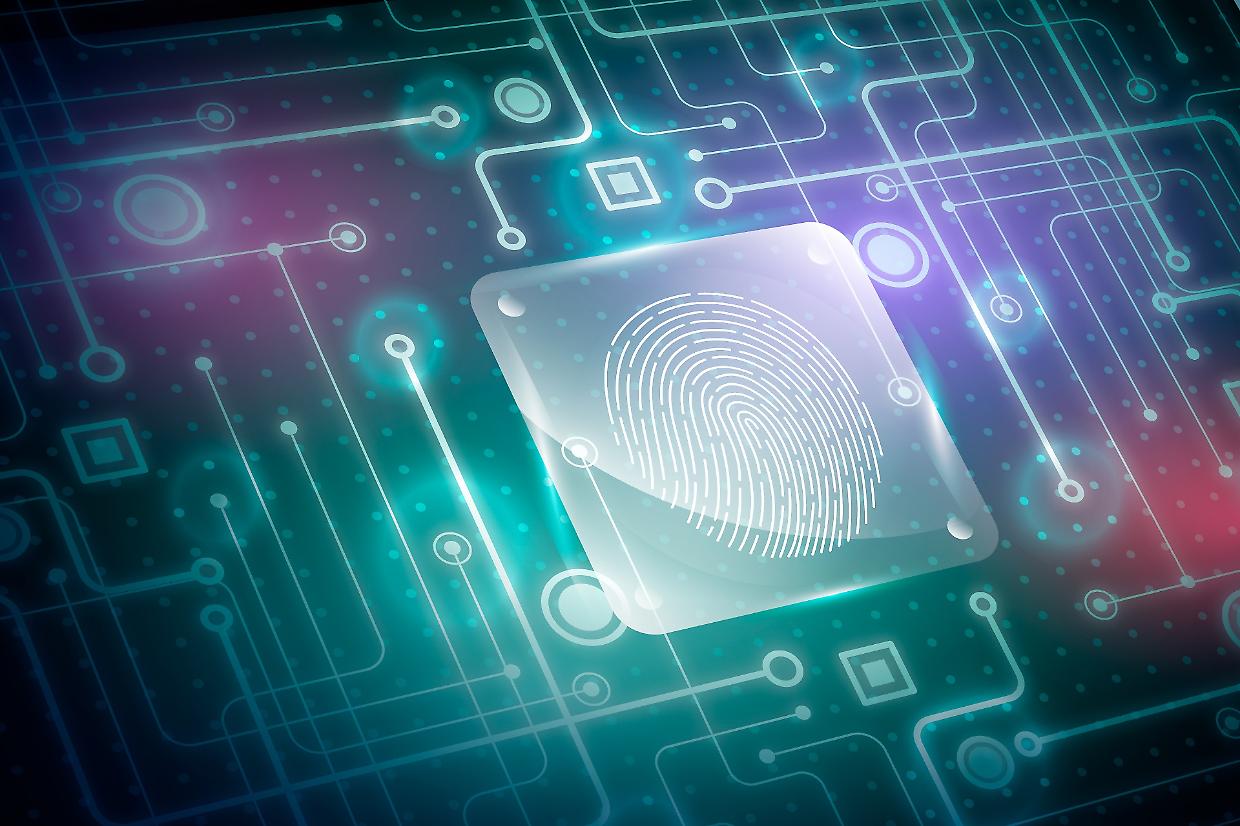 Cosa dice di te la tua ombra digitale? Ecco perché tutto ciò che mettiamo su internet ci resta