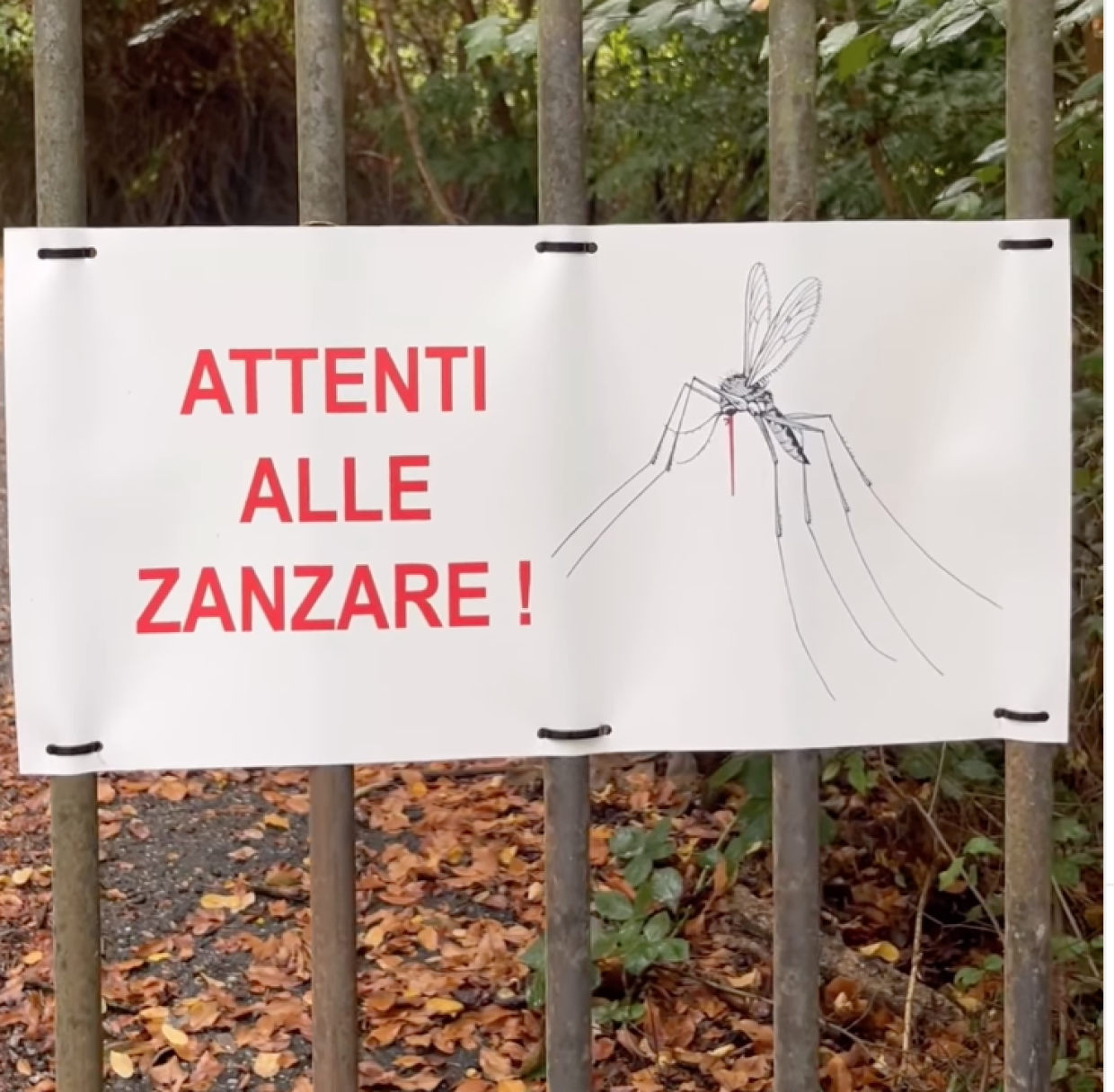 “Attenti alle zanzare”: Giovanni Storti ironizza con un cartello a Vignale Monferrato