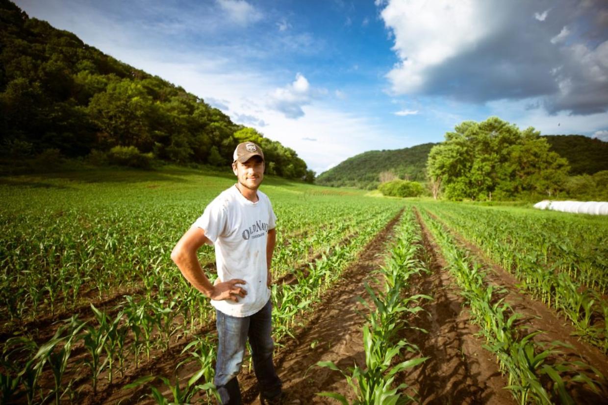 Un futuro in campagna: ecco come richiedere il bonus che premia i giovani agricoltori