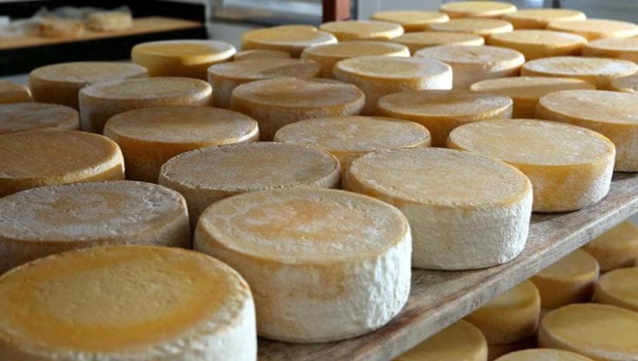 Terzo caso di SEU nei bambini a Padova: allertate le autorità sanitarie