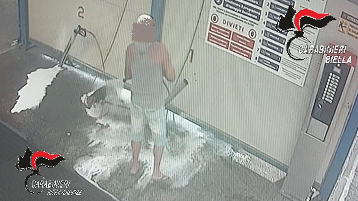 Cane legato e insaponato come una carrozzeria: esplode il caso, scatta la denuncia