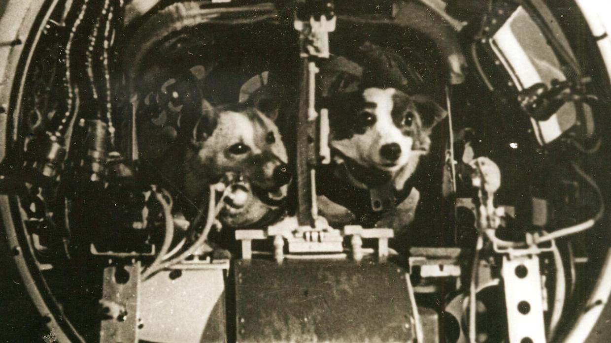Quando i cani volarono nello spazio