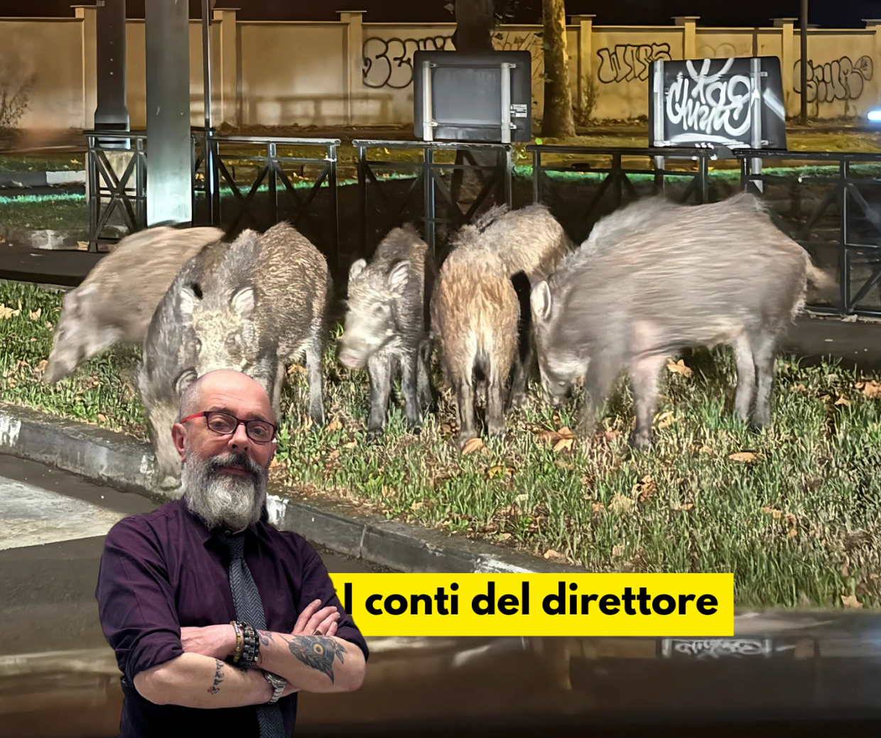 Spariamo ai cinghiali (anche) in città? Il caso a Torino