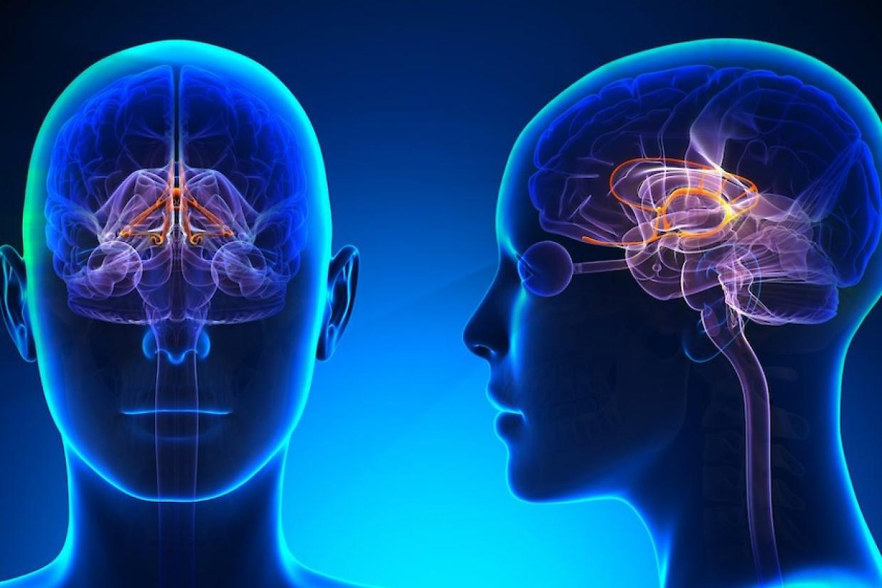 Malattia di Huntington: nuovi progressi nella ricerca e speranze da un farmaco innovativo