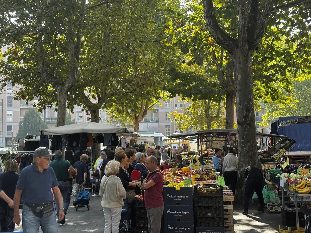 Dal mercato di Mirafiori la voce dei cittadini: «I cinghiali? Problema da risolvere, non da abbattere»