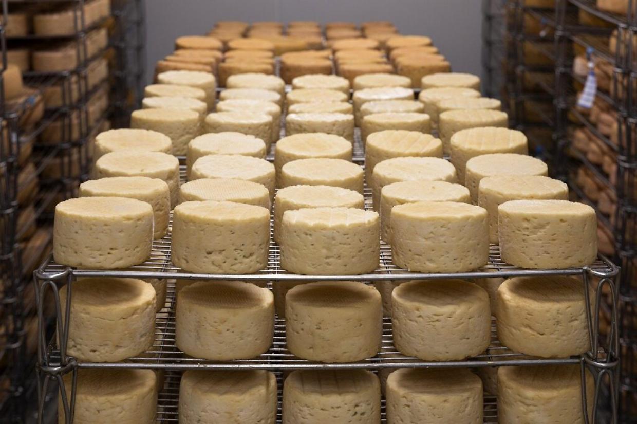 I formaggi segreti del Piemonte: un tesoro tra le Valli