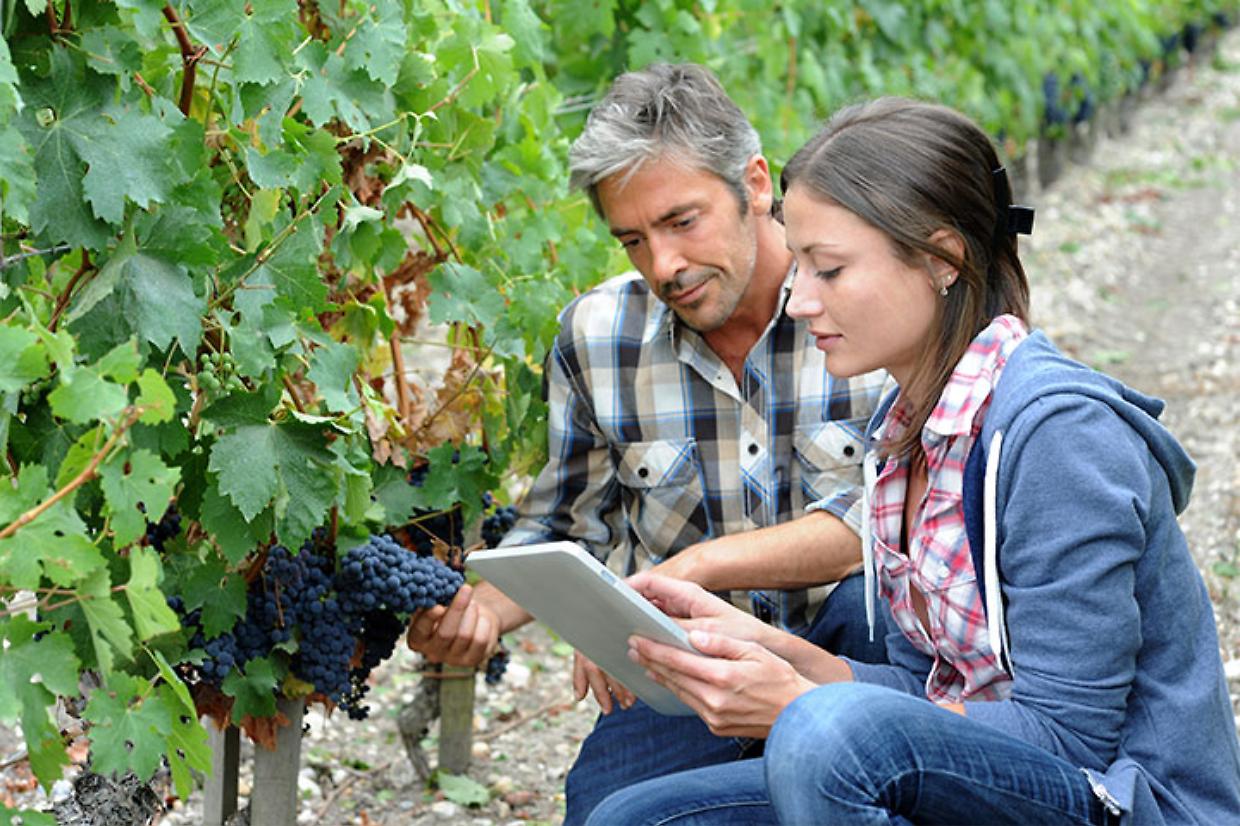 Diventa esperto di vino con AIS: il corso arriva a Susa