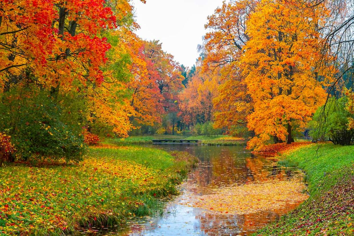 Piemonte a piedi tra i colori d’autunno: ecco i sentieri più belli per il foliage