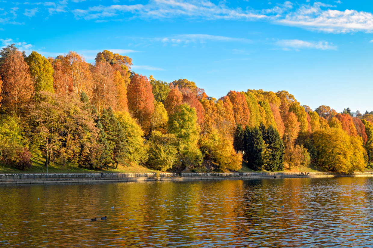 Torino è più bella d'autunno: eventi e attività per celebrare la stagione