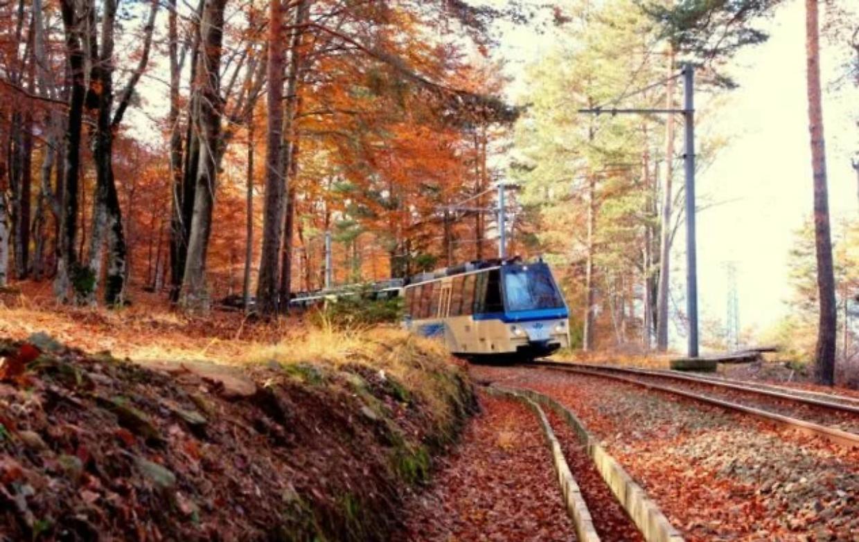 Il Treno del Foliage: l’autunno in Piemonte corre sui binari