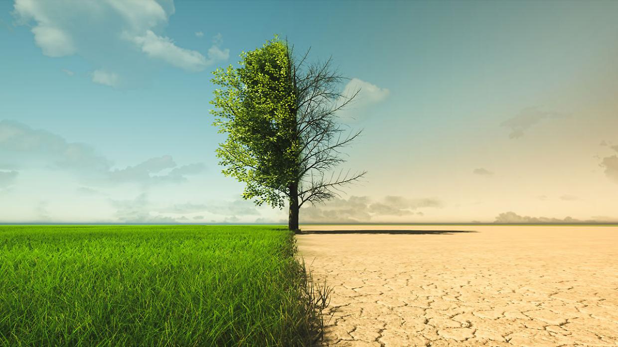 Nasce l’Osservatorio regionale sul clima: il Piemonte investe su prevenzione e adattamento