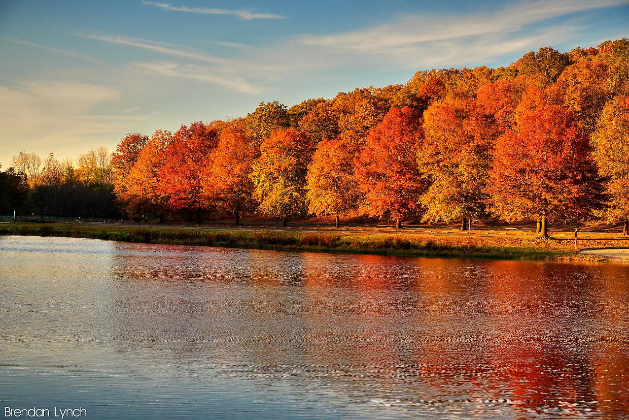 Foliage in Piemonte: cos’è, e quando ammirare i paesaggi autunnali