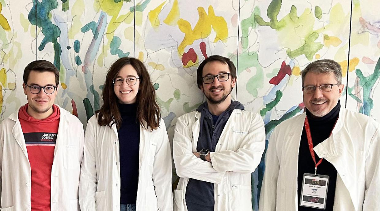 Neuroni che si riattivano da adulti: la scoperta dell'Università di Torino