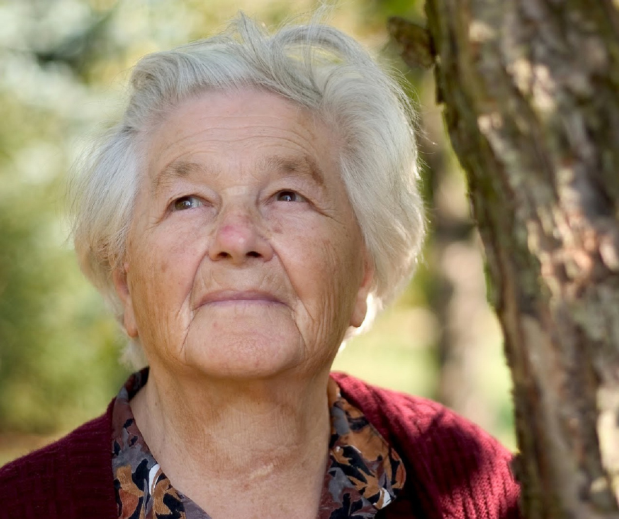 Pensionati all’estero, dal 17 settembre partono i controlli Inps sull’esistenza in vita