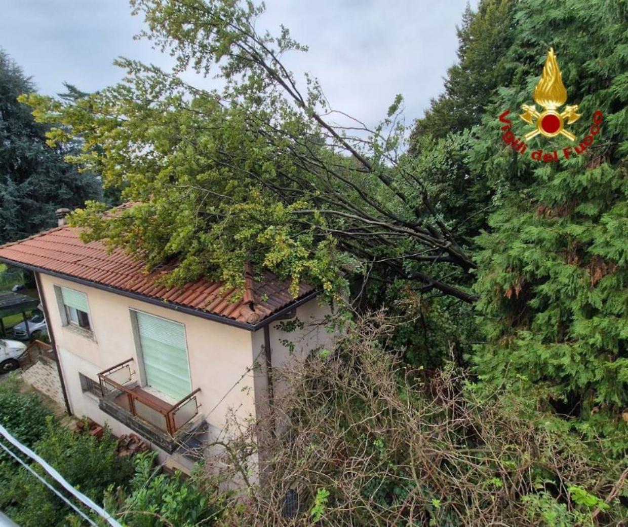 Casa colpita da un albero in provincia di Novara: vigili del fuoco al lavoro per ore