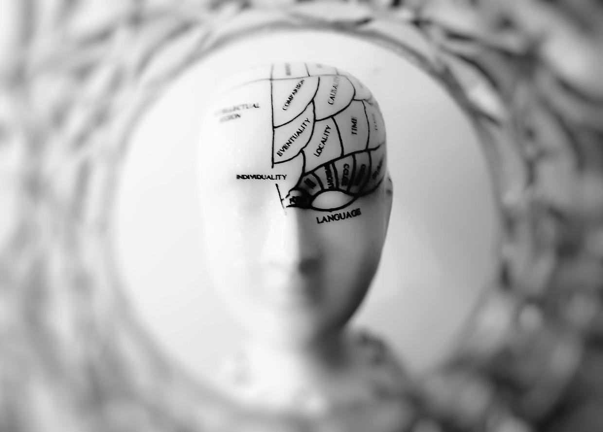 L’intelligenza non ha età: lo studio che ridisegna i picchi cognitivi