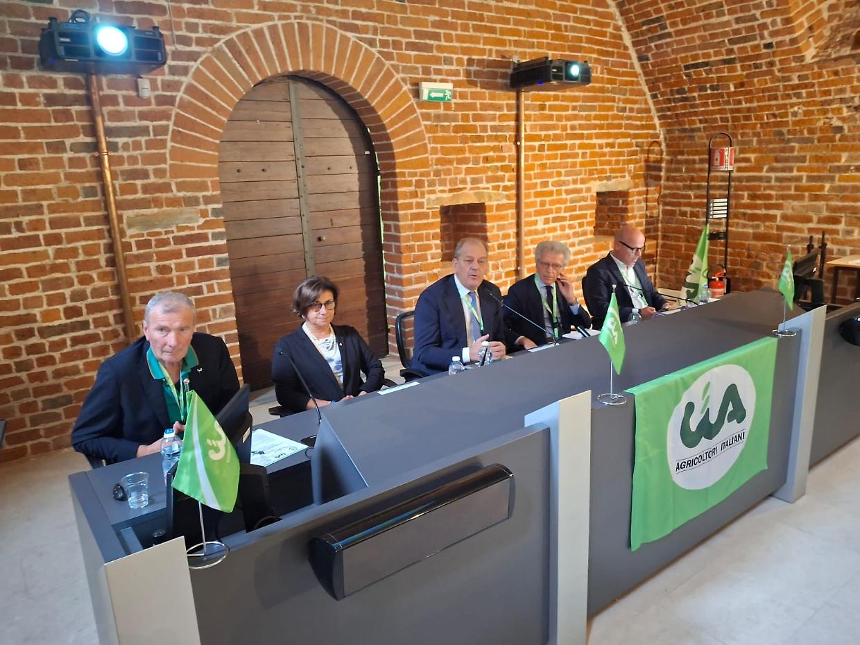 Riso, l’allarme da Vercelli: “Serve una strategia europea o sarà troppo tardi”