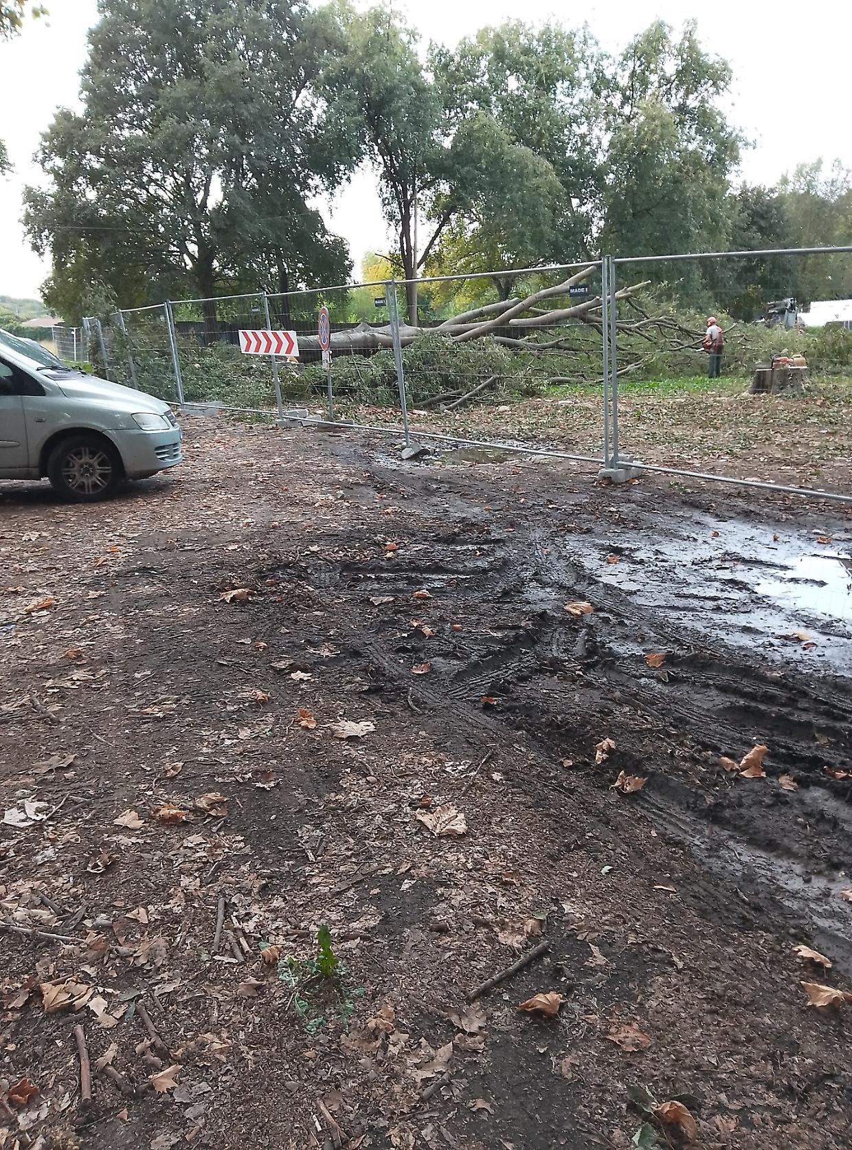 Falchera, abbattuti sei alberi per il nuovo capolinea del tram 4
