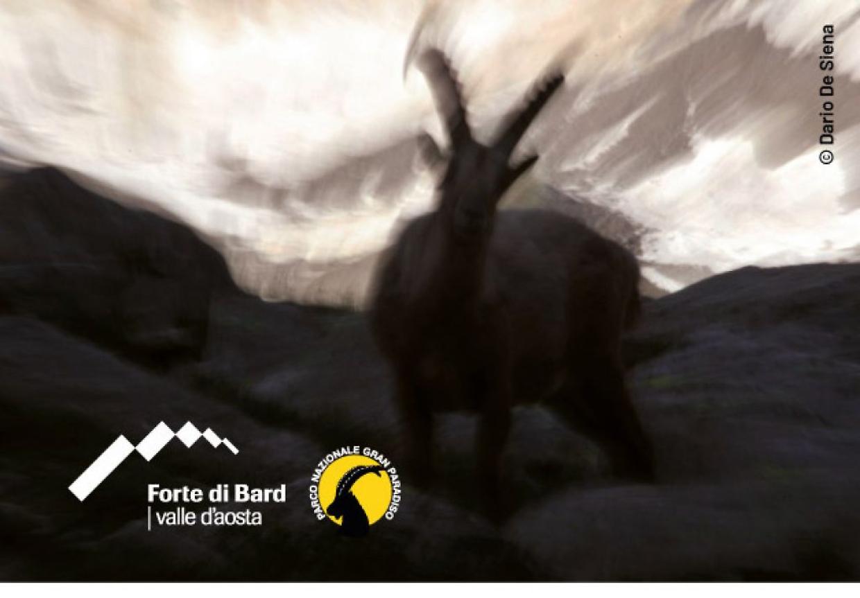 Mostra fotografica “Oltre lo Scatto” al Forte di Bard
