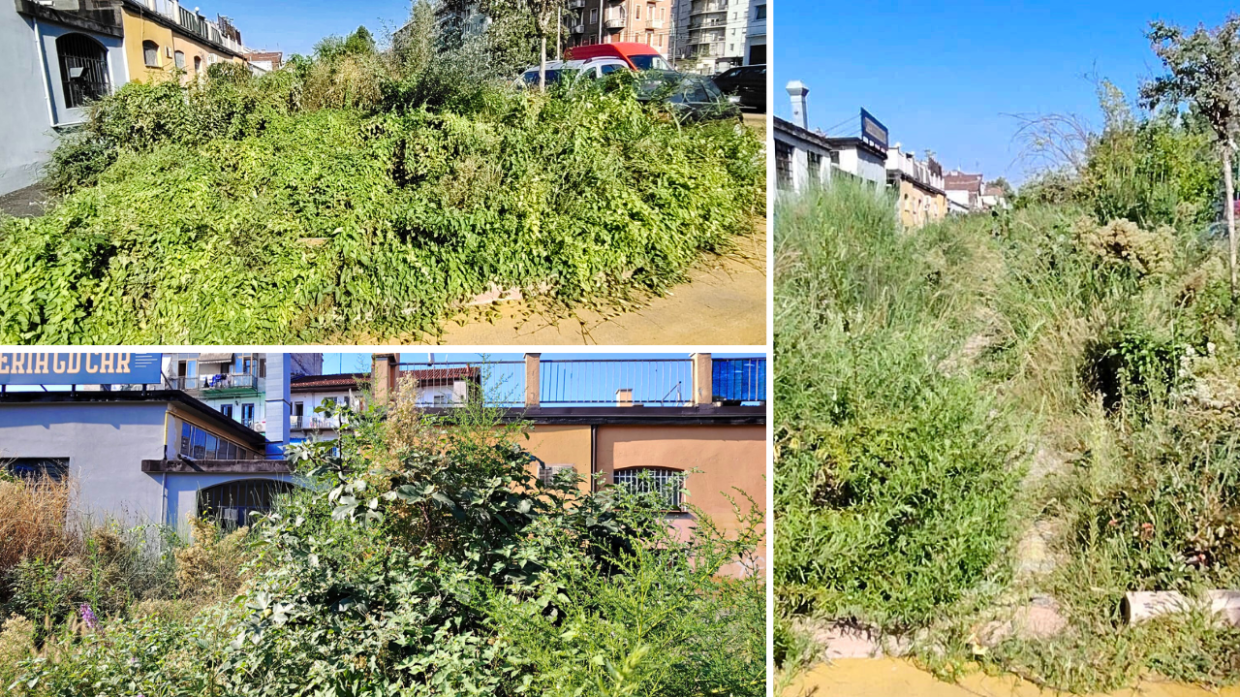 L'erba alta trasforma il parcheggio in una selva. «Lo sfalcio al Comune una scelta scellerata»