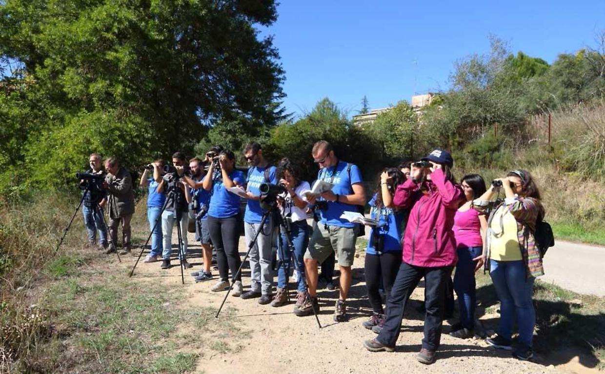 Vivi il grande spettacolo della migrazione: il 4 ottobre una giornata di birdwatching aperto a tutti