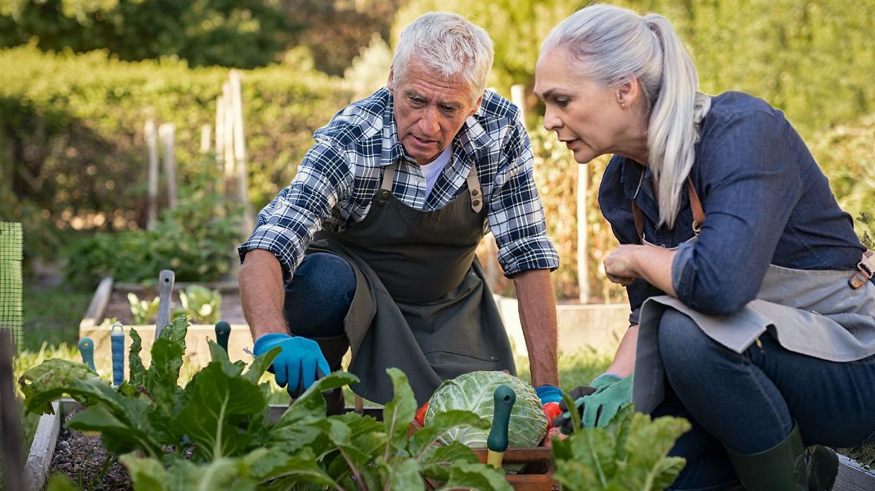 Coltivare il benessere: ad Alba giardini e orti come cura
