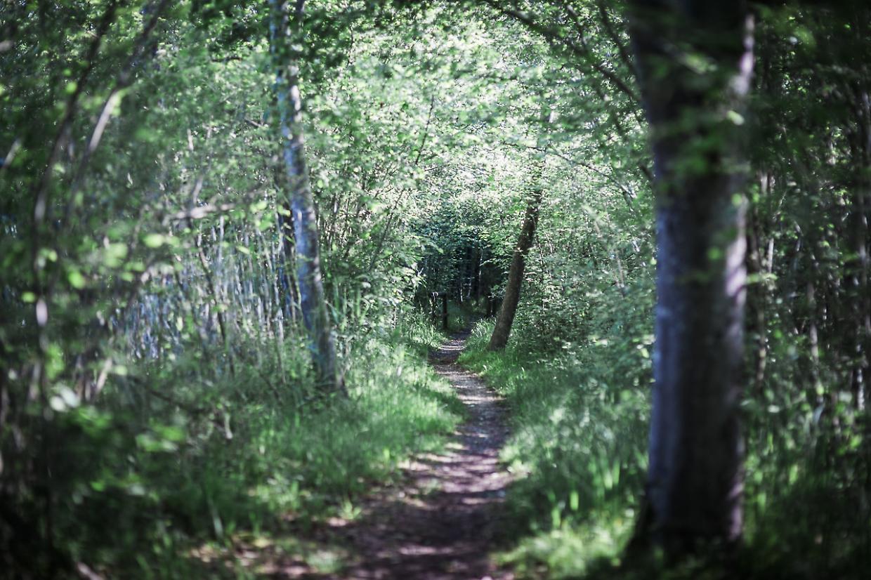 Savigliano: passeggiata tra natura e storia per la biodiversità