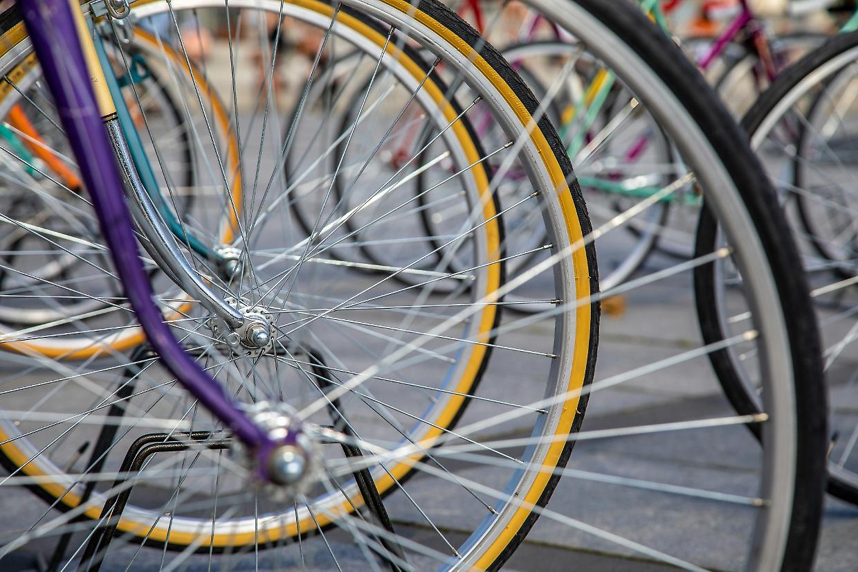 Terza edizione Bike Festival a Trofarello: show acrobatici e percorsi per famiglie