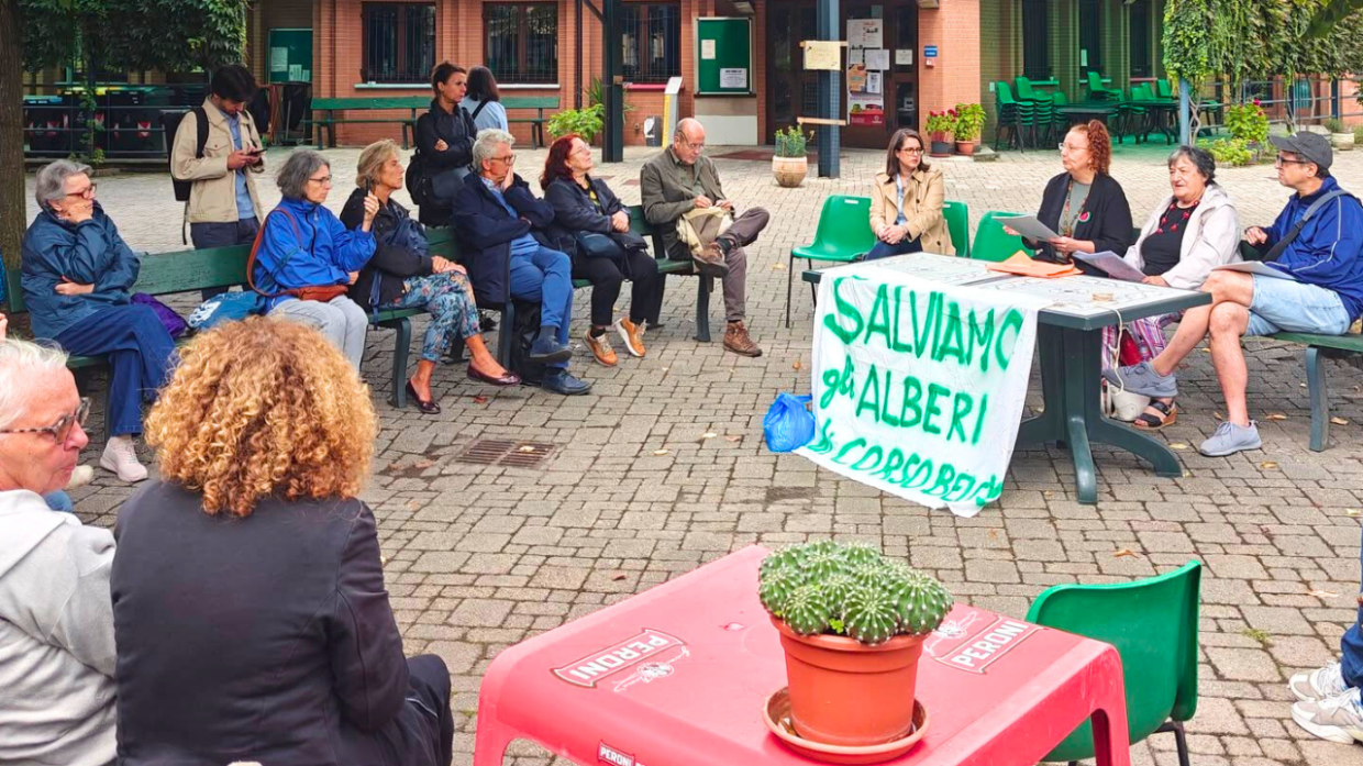 Mille firme per salvare gli alberi di Torino: «Stop agli abbattimenti»