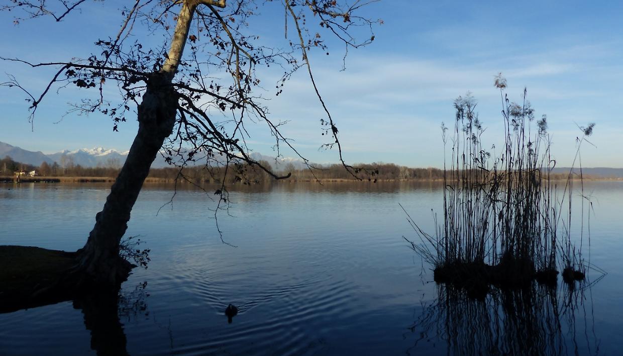 Il Parco del Lago di Candia festeggia i suoi primi 30 anni