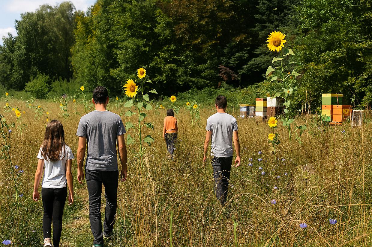 Savigliano, passeggiata tra api, natura e sapori locali: arriva l’APEritrovo