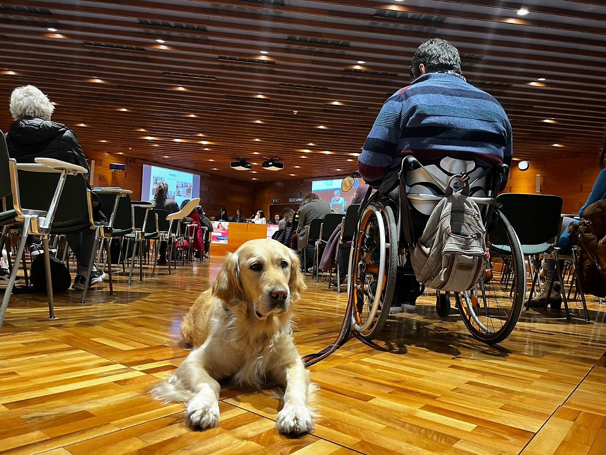A Palazzo Lascaris un convegno sugli interventi assistiti con animali