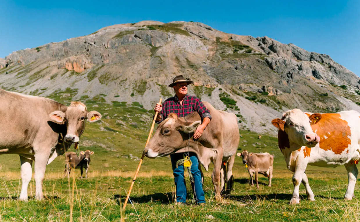 Weekend a Usseglio: tornano la transumanza e i sapori della montagna