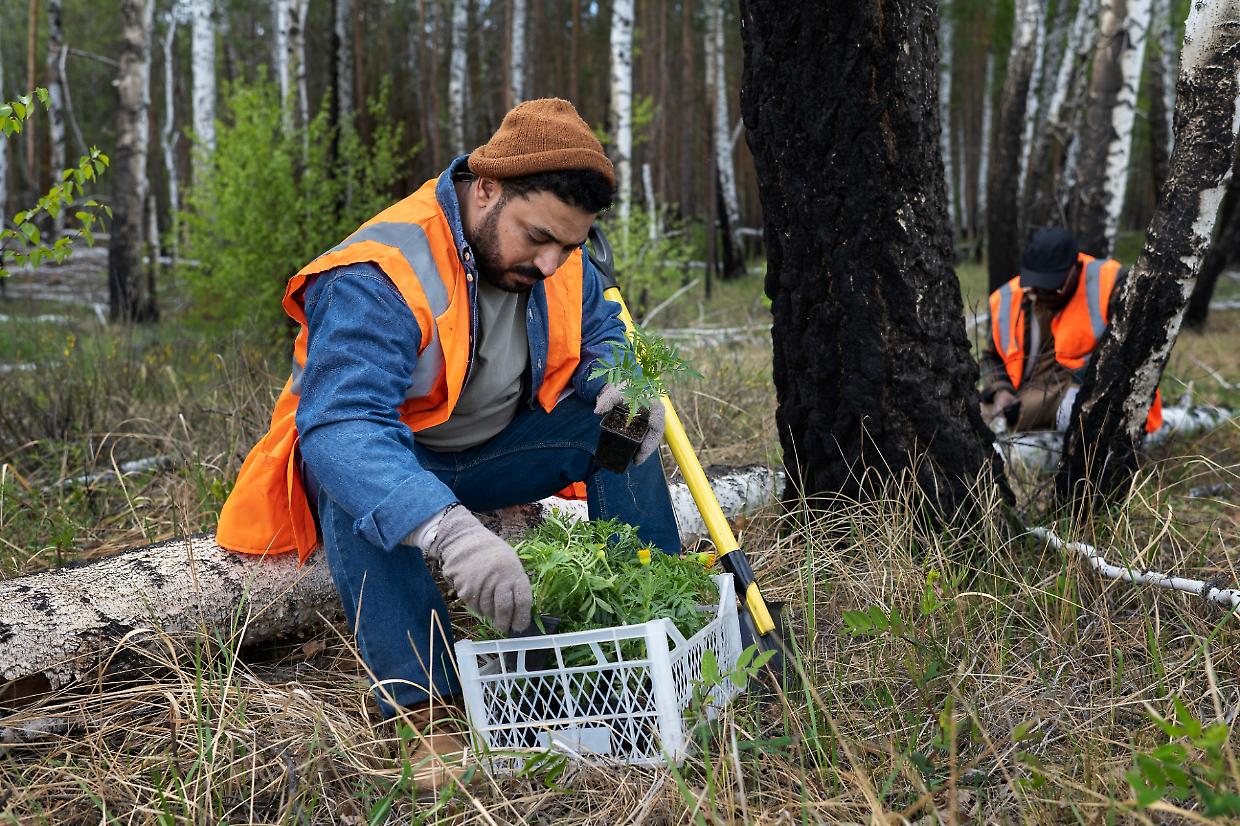 Opportunità per over 45 e over 58 in Valsusa: due Cantieri di Lavoro finanziati dalla Regione