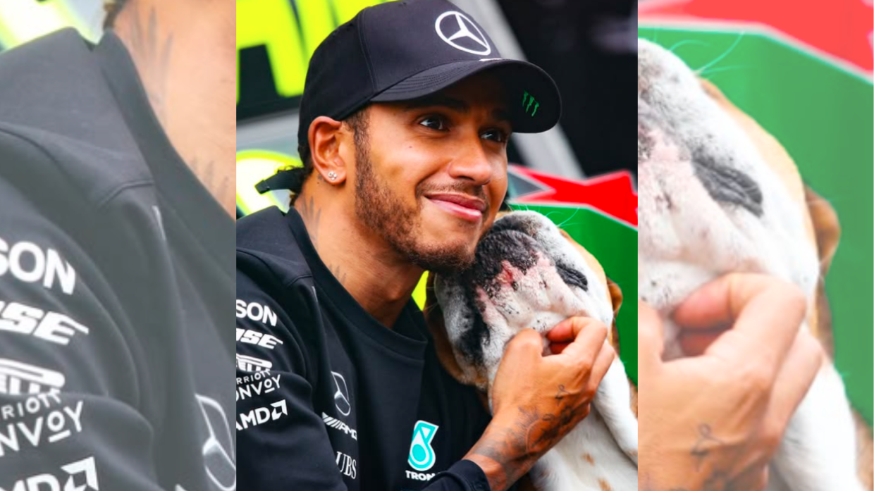Addio a Roscoe, il bulldog di Hamilton: la Formula 1 si stringe attorno al pilota