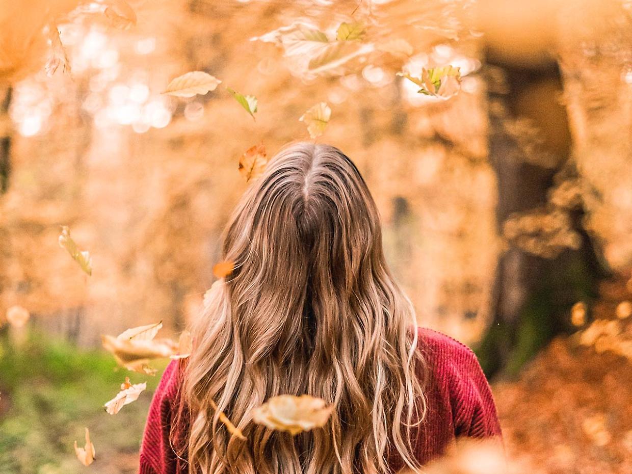 Periodo delle castagne: perché cadono i capelli in autunno