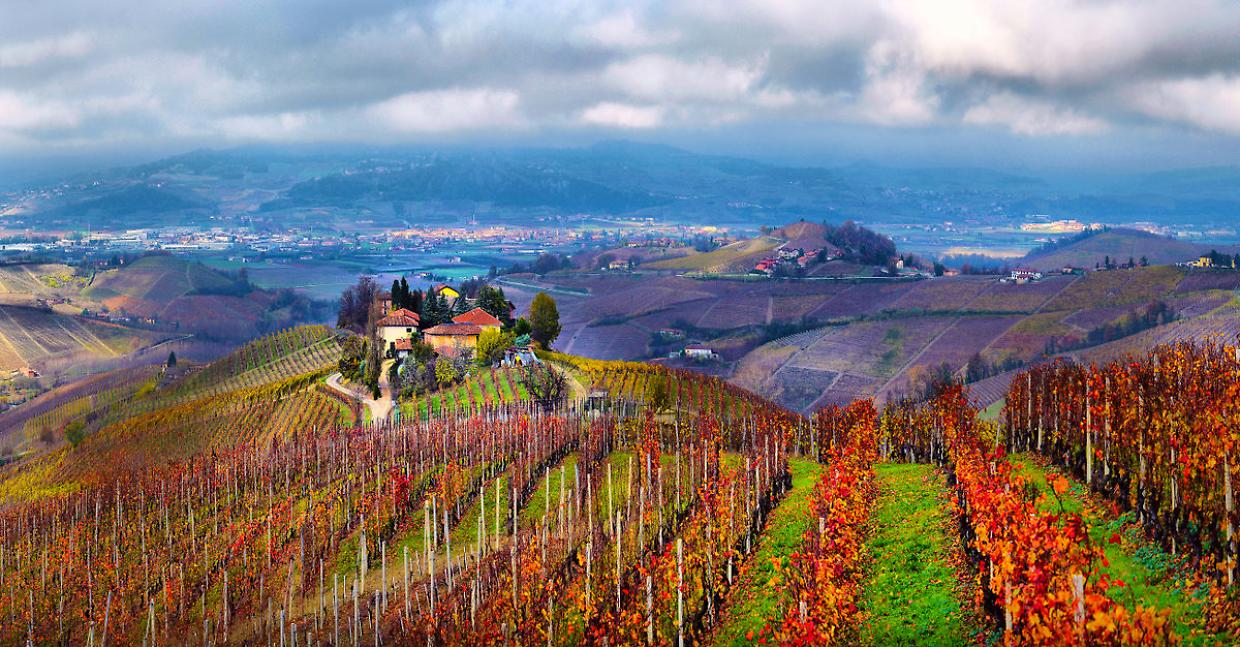 Cosa fare in Piemonte nel weekend del 4-5 ottobre: tutte le fiere, sagre e tradizioni d’autunno