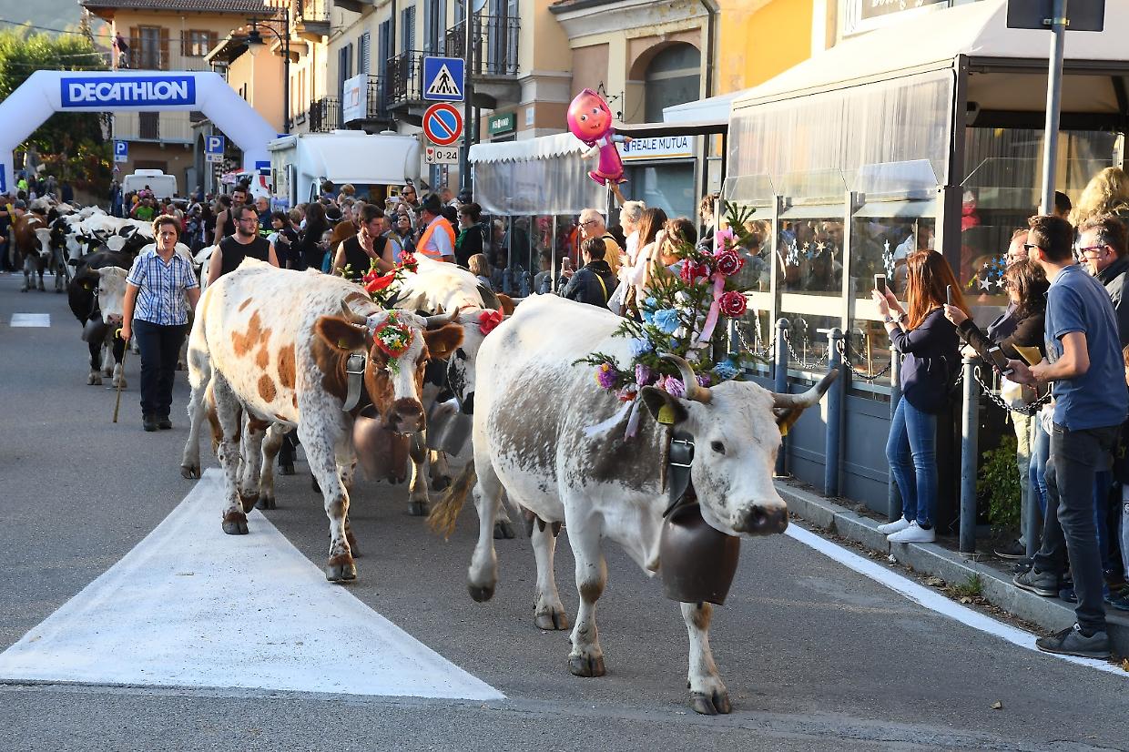 A Condove la 35ª edizione della Fiera della Toma