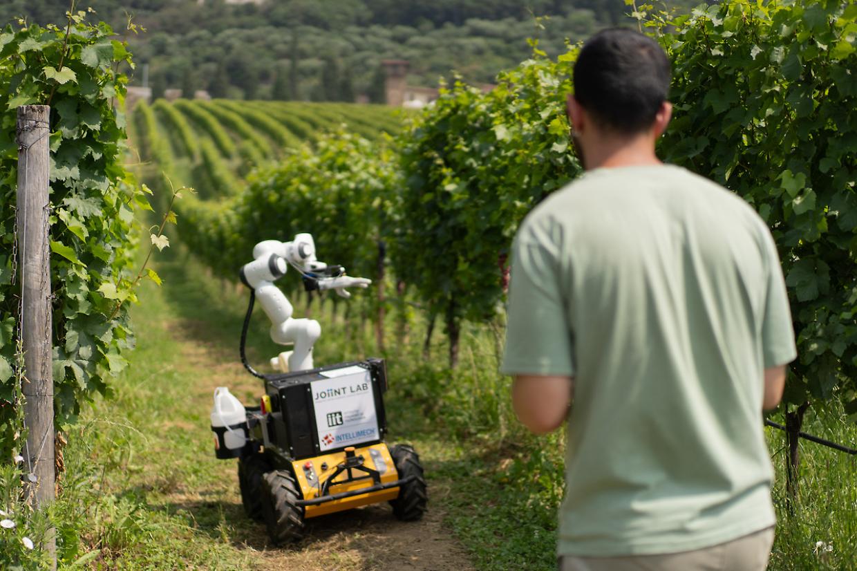 Vendemmia smart: ecco Frasky, il robot che cambia il lavoro nei vigneti
