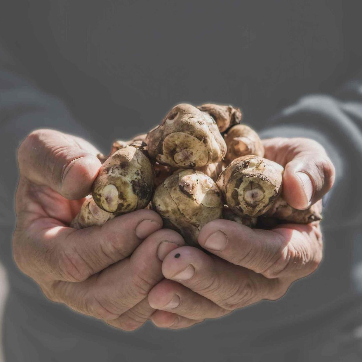 A Carignano torna la Sagra del Ciapinabò con eventi ed enogastronomia