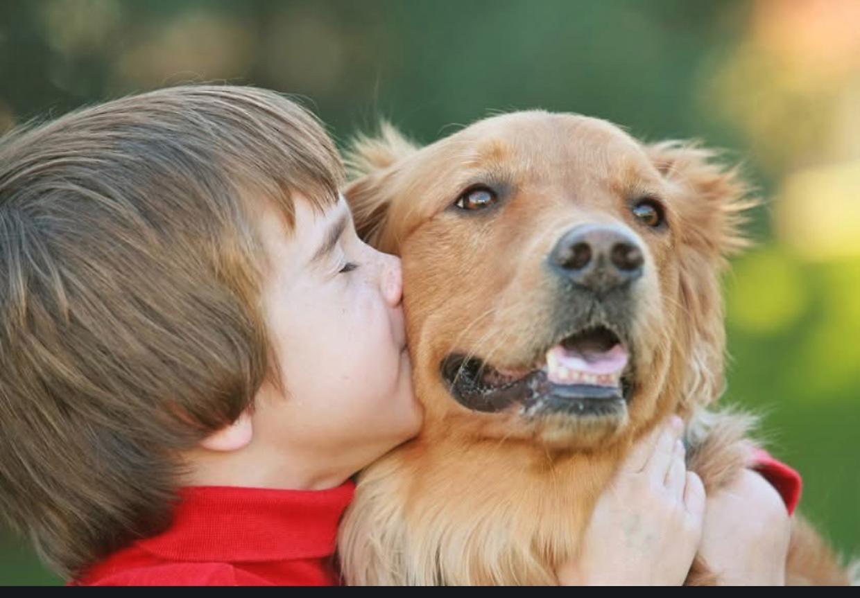 Quando gli animali diventano la miglior cura: dieci anni di Aslan