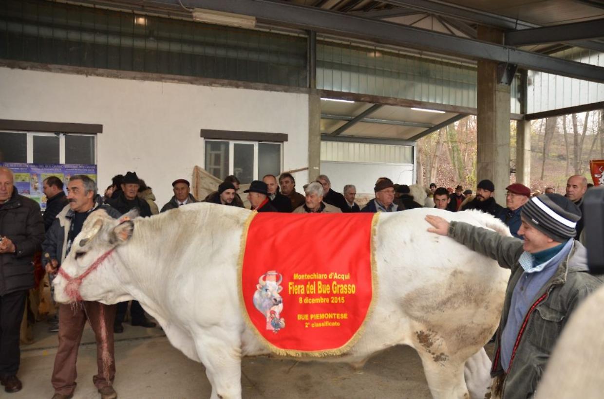 Carrù, nona Festa della Carne Piemontese