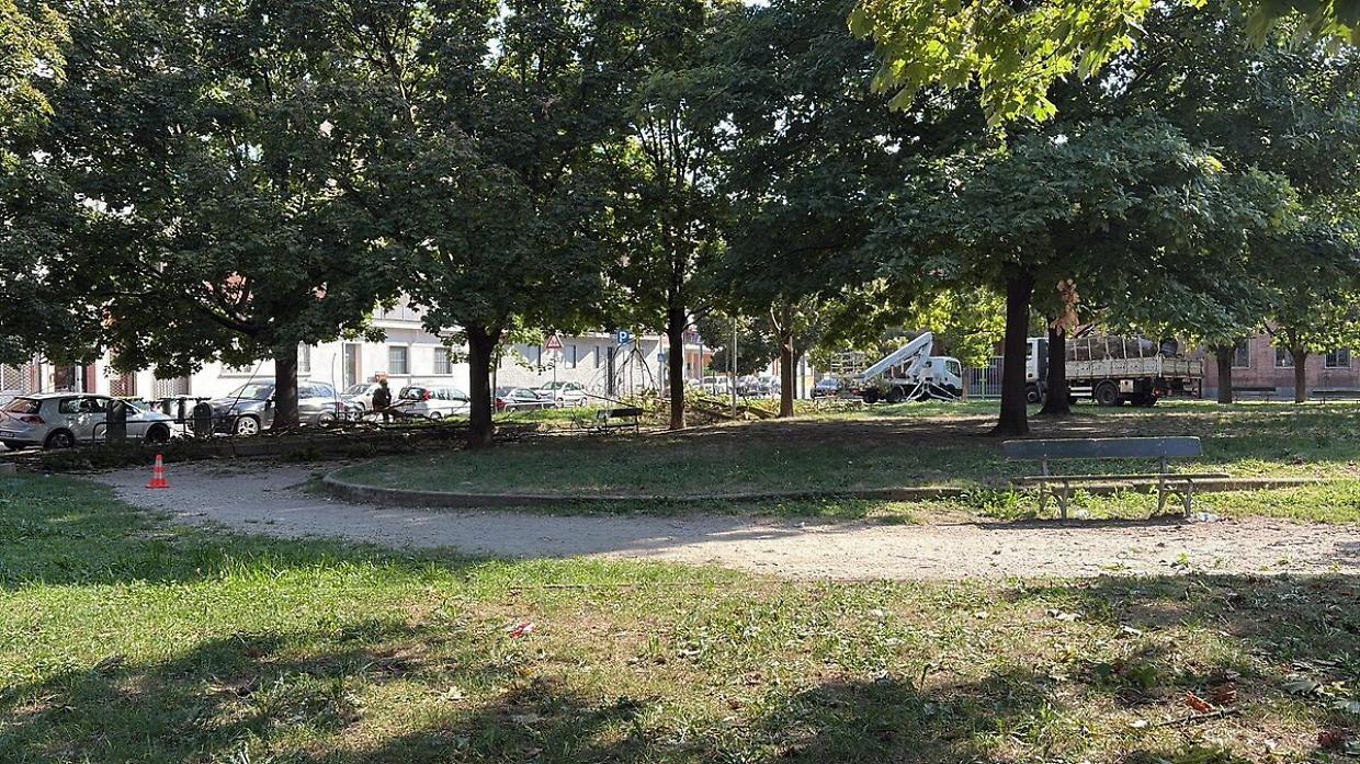 La richiesta: ecco i futuri "Giardini Cafasso" di Torino