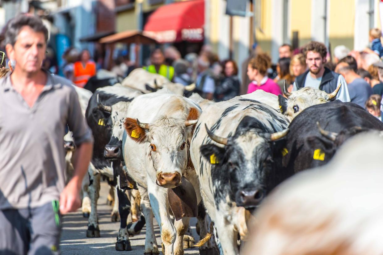 Il weekend tra sagre, fiere e sapori