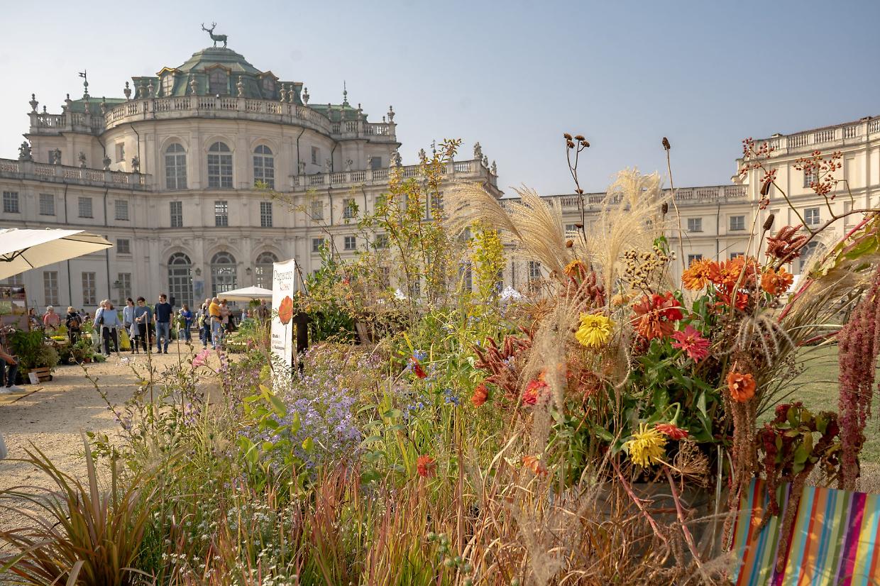 Stupinigi in fiore, il festival che festeggia l'eleganza della natura